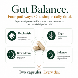 An informational graphic for Gut Balance capsules, showing two beige capsules in the center with four dark green and orange callouts: Replenish, Feed, Break down, and Balance. Text at the top reads 'Gut Balance' and at the bottom reads 'Two capsules.