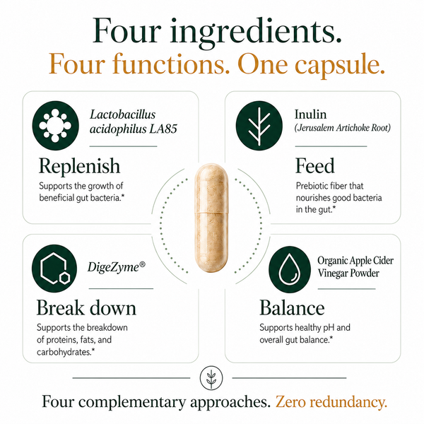 An infographic detailing a single capsule product with four surrounding text panels explaining its ingredients and functions: Lactobacillus acidophilus LA85, Inulin, DigeZyme, and Organic Apple Cider Vinegar Powder. The text reads 'Four ingredients.