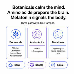 An informational graphic with the headline 'Botanicals calm the mind. Amino acids prepare the brain.