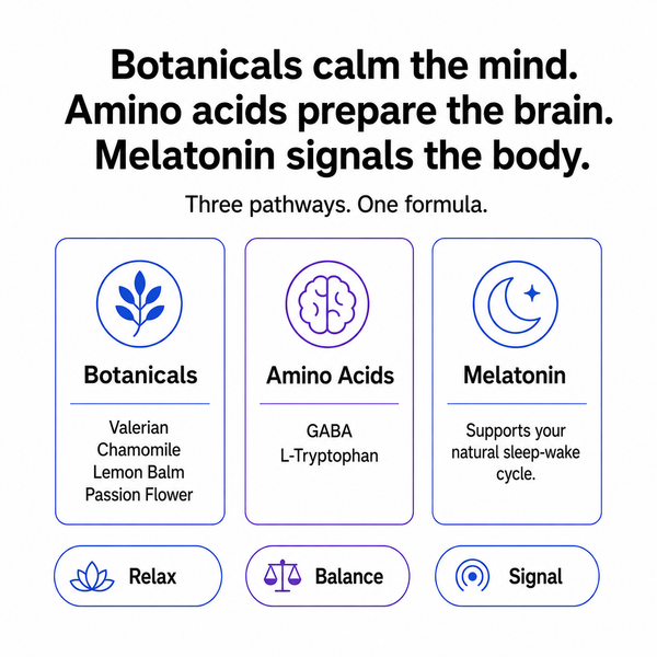 An informational graphic with the headline 'Botanicals calm the mind. Amino acids prepare the brain.